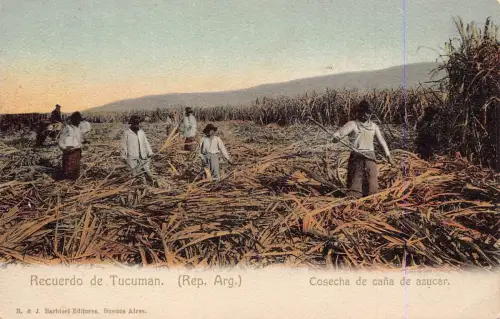 A878 Argentinien Recuerdo de Tucuman Cosecha Einheimische Bauern Mähen Postkarte