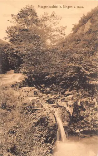 L166 Deutschland 1909 Morgenbachtal Bingen am Rhein Wasserfall Vintage Postkarte