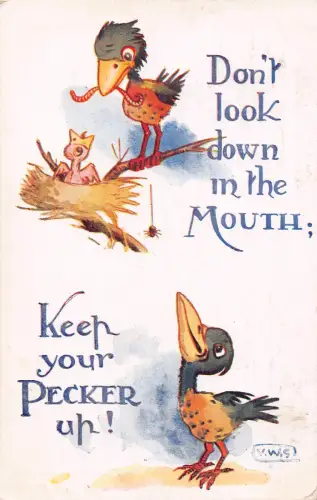 A881 Comic Humor 1917 Spatz füttert Baby Spinnenwurm Keep your pecker Postkarte