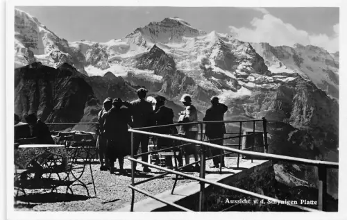 L309 Schweiz Aussicht v d Schynigen Platte Vintage Postkarte