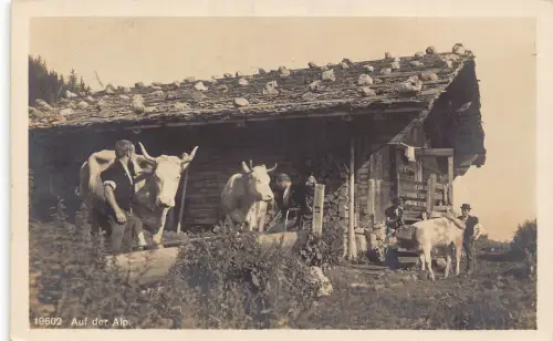L309 Schweiz 1928 Auf der Alp Kühe Bauernhaus Vintage Postkarte