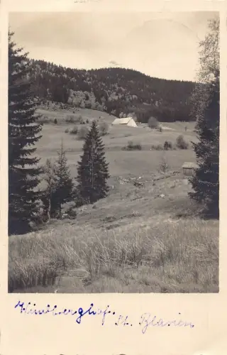 L308 Deutschland 1927 St Blasien Schwarzwald Landschaft Vintage Postkarte