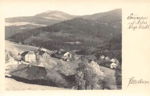 L316 Deutschland Somerau auf Arber Bayr Wald Vintage Postkarte