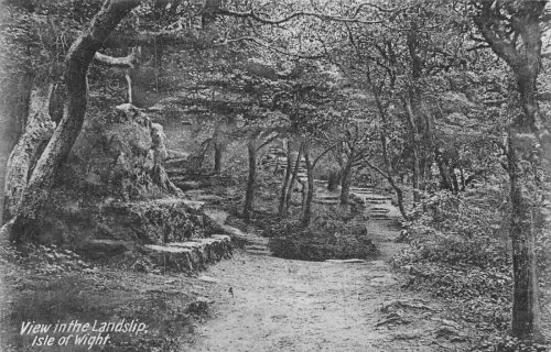 A887 England Blick auf den Landslip Isle of Wight Vintage Postkarte