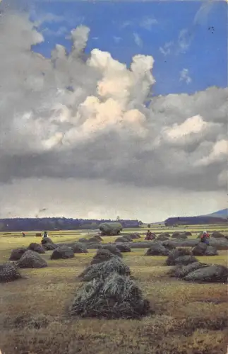 A059 Frankreich 1912 Illkirch-Graffenstaden Heubuchten Feldwolken Vintage Postkarte