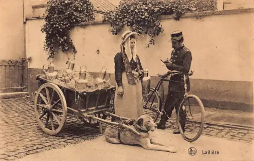 Belgien Flämische Milchmädchen Verkäufer Hund Laitiere Polizist Vintage Postkarte B913