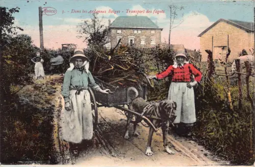 Belgien Dans les Ardennes Belges Transport des Fagots Hundewagen Postkarte B914