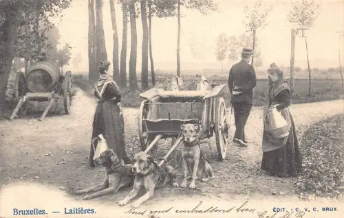 Belgien Laitieres Flamandes Flämisches Milchmädchen Hund Polizist 1903 Postkarte B915