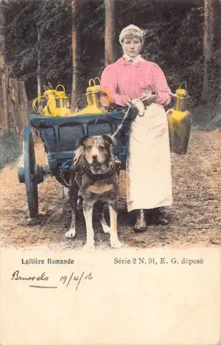 Belgien 1906 Laitiere Flamande Flämische Milchmädchen Mastiff Hund Postkarte B915