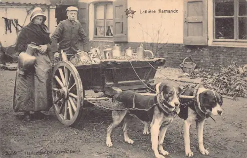 Belgien Laitieres flamandes Flämische Milchmädchen Bauernhund 1913 Postkarte B914