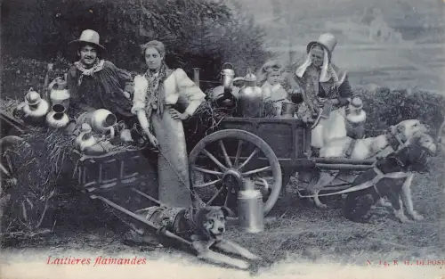 Belgien Flämische Milchmädchen Verkäufer Hund Latiere Flamande Mädchen 1919 Postkarte B913