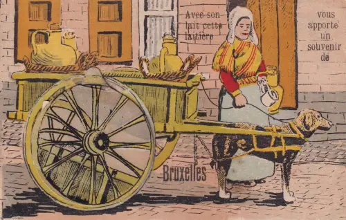 Belgien Flämisches Milchmädchen Hund Brüssel Brüssel Brüssel Brüssel Neuheit Auszug Postkarte B915