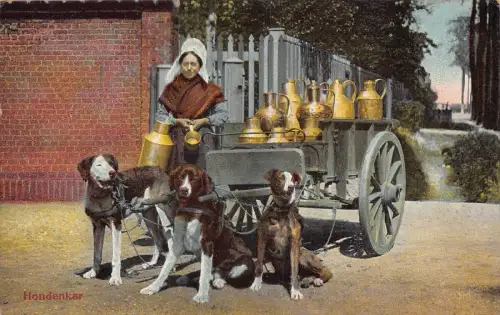 Belgien Laitieres flamandes Hondenkar Flämische Milchmädchen Hund Postkarte B914
