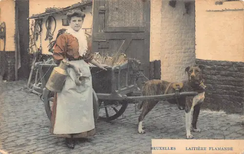 Belgien Brüssel Laitiere Flamande Flämische Milchmädchen Hund Bauer Postkarte B913