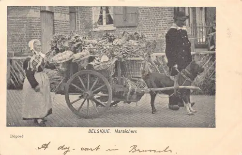 Belgien Maraichers Gemüse Verkäufer Dienstmädchen Hundewagen Vintage Postkarte B914