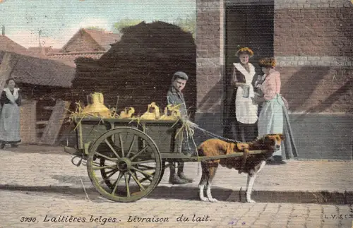 Belgien Laitiere flamande Livraison du lait Flämische Milchmädchen Hund Postkarte B913