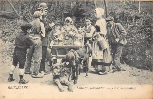 Belgien Laitieres flamandes Verstoß Polizist Milk Maids Postkarte B914