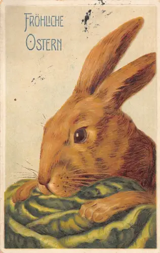 L404 Ostergrüße 1915 Hase frisst Kohlfeld Postkarte