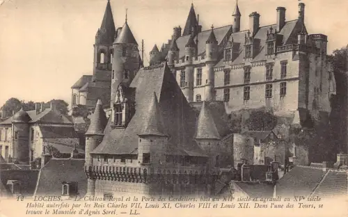 C014 Frankreich, Loches Le Chateau Royal et la Porte Vintage Postkarte