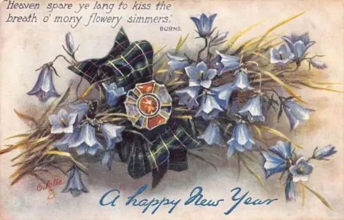 A056 Neujahrsgrüße Bluebells Tartanband für Auld Lang Syne Postkarte