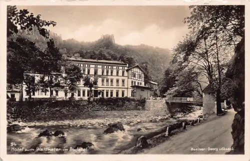 L310 Deutschland 1940 Hotel zum Waldkater im Bodetal Feldpost WWII Postkarte