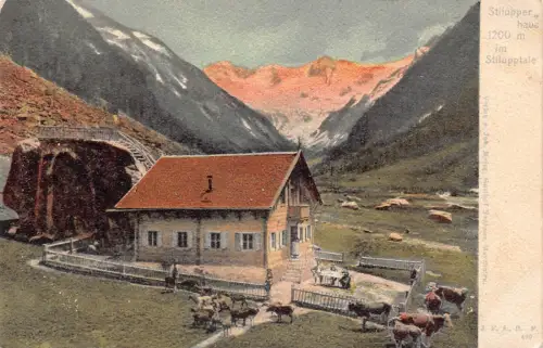 A075 Österreich Stilupper Haus 1200m Im Stillupptale Bauernhof Kühe Schafe Postkarte