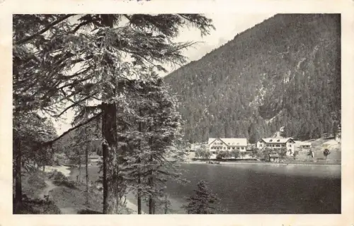 A072 Österreich Plansee Hotel Seespitze Nordtirol See Berge Vintage Postkarte