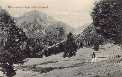 A071 Österreich Obermarkter Alpe mit Muttekopf Bergwald Vintage Postkarte