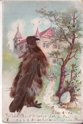 A067 Neuheit 1904 Vogel mit echten Federn Haus Baum Litho Vintage Postkarte