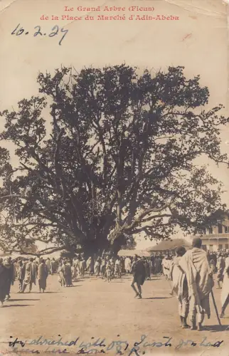 B636 Äthiopien 1924 Grand Arbre Ficus de la Place du Marche d'Adis Abeba Postkarte