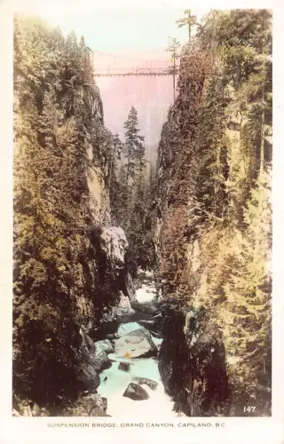 A893 Kanada Hängebrücke Grand Canyon Capilano BC RPPC Postkarte