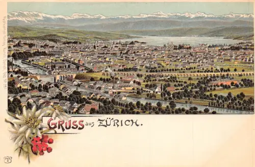 A894 Schweiz Gruss aus Zuerich Edelweiß Gesamtansicht Litho Postkarte