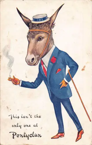 Tiere anthropomorpher Esel im Anzug rauchende Zigarette 1915 Postkarte B921