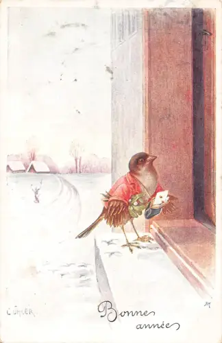 Neujahrsgrüße vermenschlichter Vogel im Mantel Mistelzweig Haustür 1914 Postkarte B921