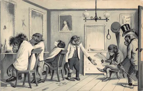 Tiere anthropomorphe humanisierte Affen im Friseursalon 1903 Postkarte B920