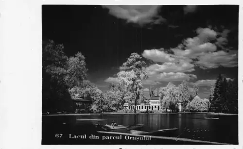 Rumänien Cluj Lacul din Parcul Orasului See RPPC Vintage Postkarte