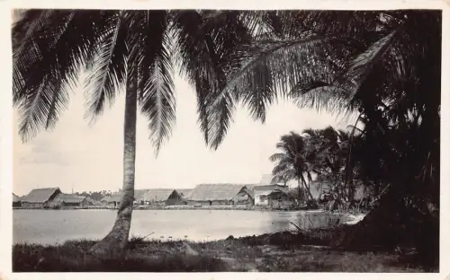 L334 Panama Sea Pal Trees Hütten Pacora Vintage Postkarte