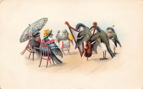 L338 Humanisierte Vögel Orchester anthropomorph 1893 Comic Postkartengröße
