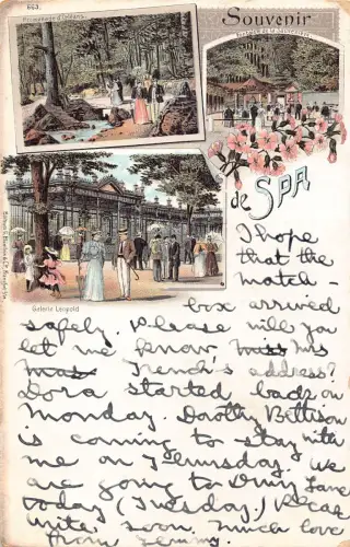 A902 Belgien 1905 Souvenir de Spa Blumen Promenade Touristen Litho Postkarte