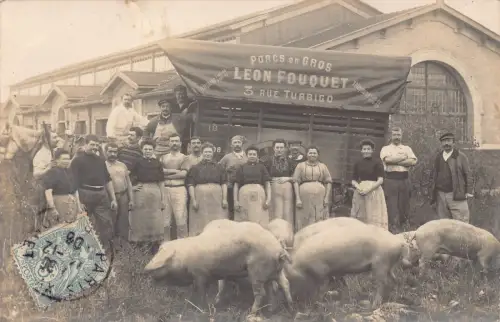 A902 Frankreich Porcs en Gros Leon Fouquet Bauern Schweinemarkt 1906 Vintage Postkarte