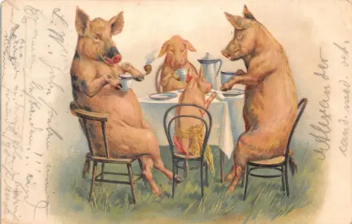L348 Grüße 1904 Humanisierte Schweine Abendessen Zeit Pfeife Comic Vintage Postkarte