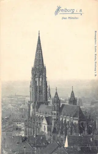 L339 Deutschland Freiburg i B Dom Das Münster Vintage Postkarte