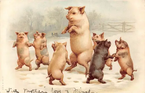 L348 Grüße 1904 Humanisierte Schweine tanzen Comic Vintage Postkarte