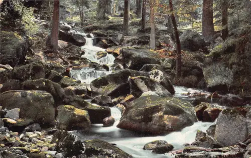 Deutschland Ilsefaelle am Bremerweg Wasserfall Vintage Postkarte