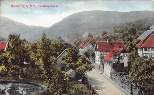 Deutschland Ilsenburg a Harz Buchbergstraße Straße Vintage Postkarte