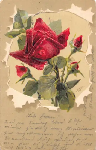 A090 Grüße 1904 Rote Rose gerissen Papierrahmen geprägt signiert Postkarte