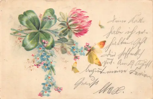 A091 Grüße 1900 Vergissmeinnicht und Distelblume Kleeblatt Schmetterling Postkarte
