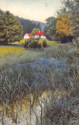 A090 Landschaft 1914 Frühlingsblumen Wald Bäume Hütte Bisingen Postkarte