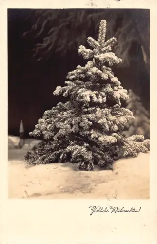 A089 Weihnachtsgrüße 1939 Kiefer mit Schnee bedeckt Passepartout Postkarte