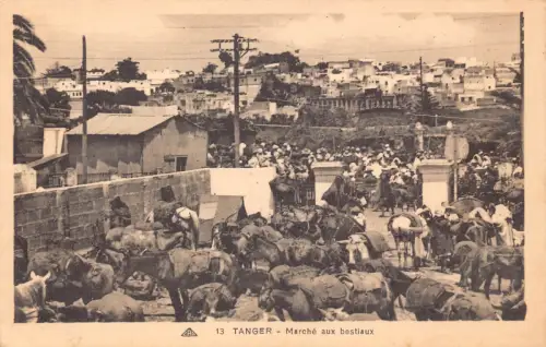 B172 Marokko Tanger Marken aux bestiaux Pferde Vintage Postkarte